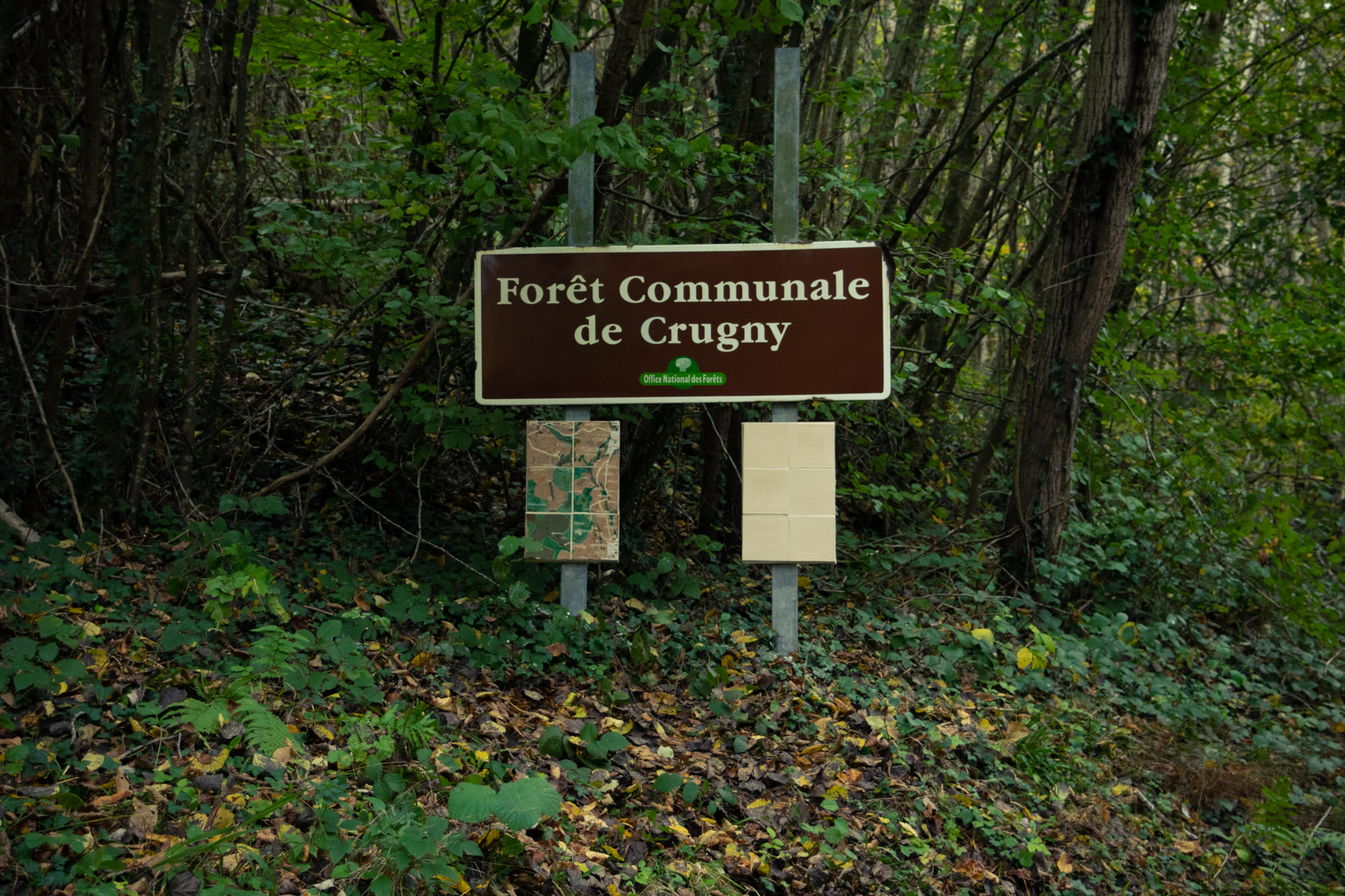 Carreaux dans les bois représentant une carte forestière du village