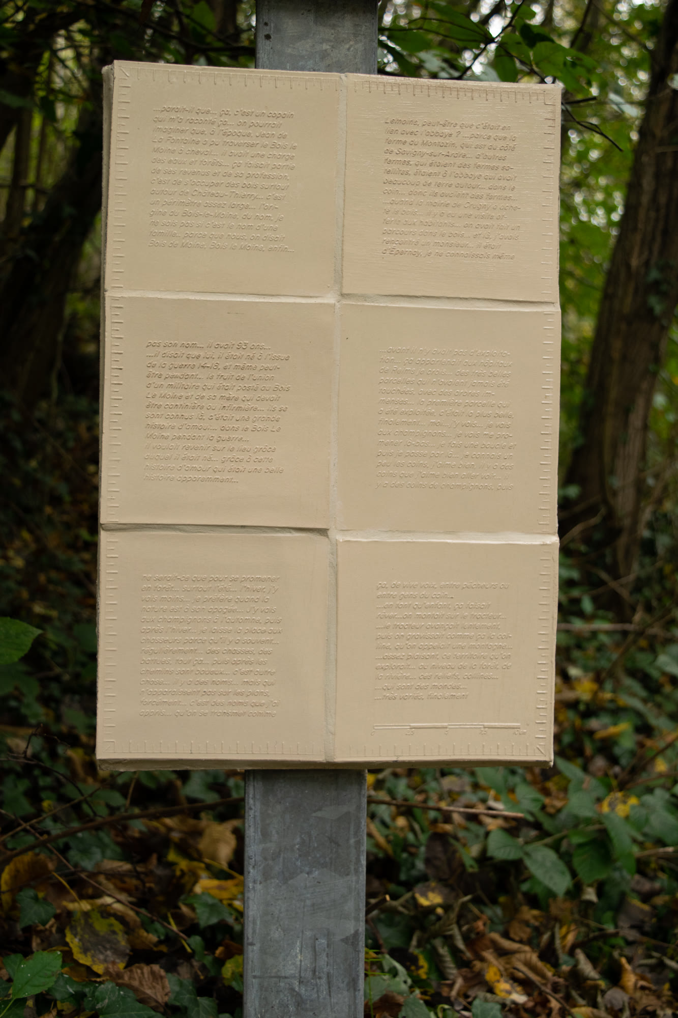 Carreaux dans les bois représentant une carte forestière du village