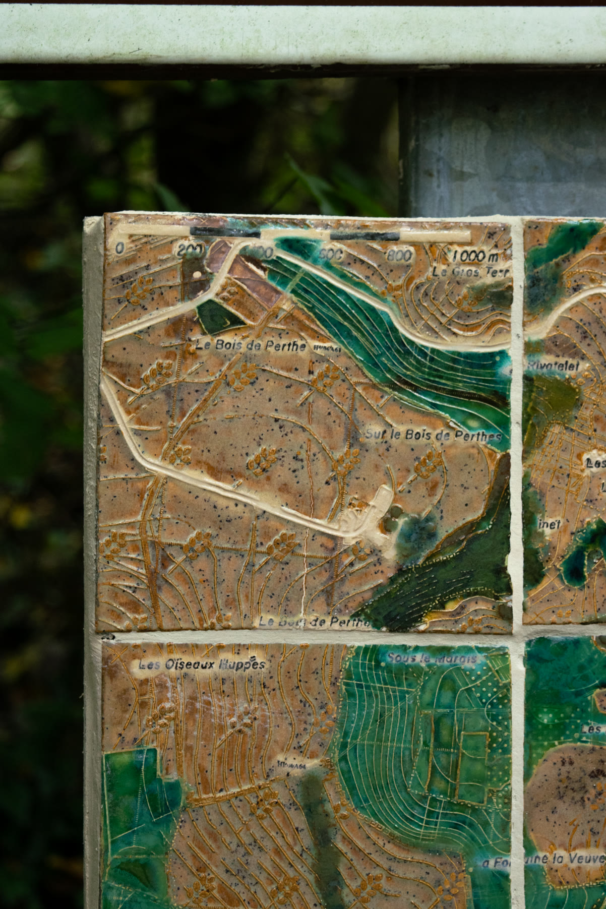 Carreaux dans les bois représentant une carte forestière du village